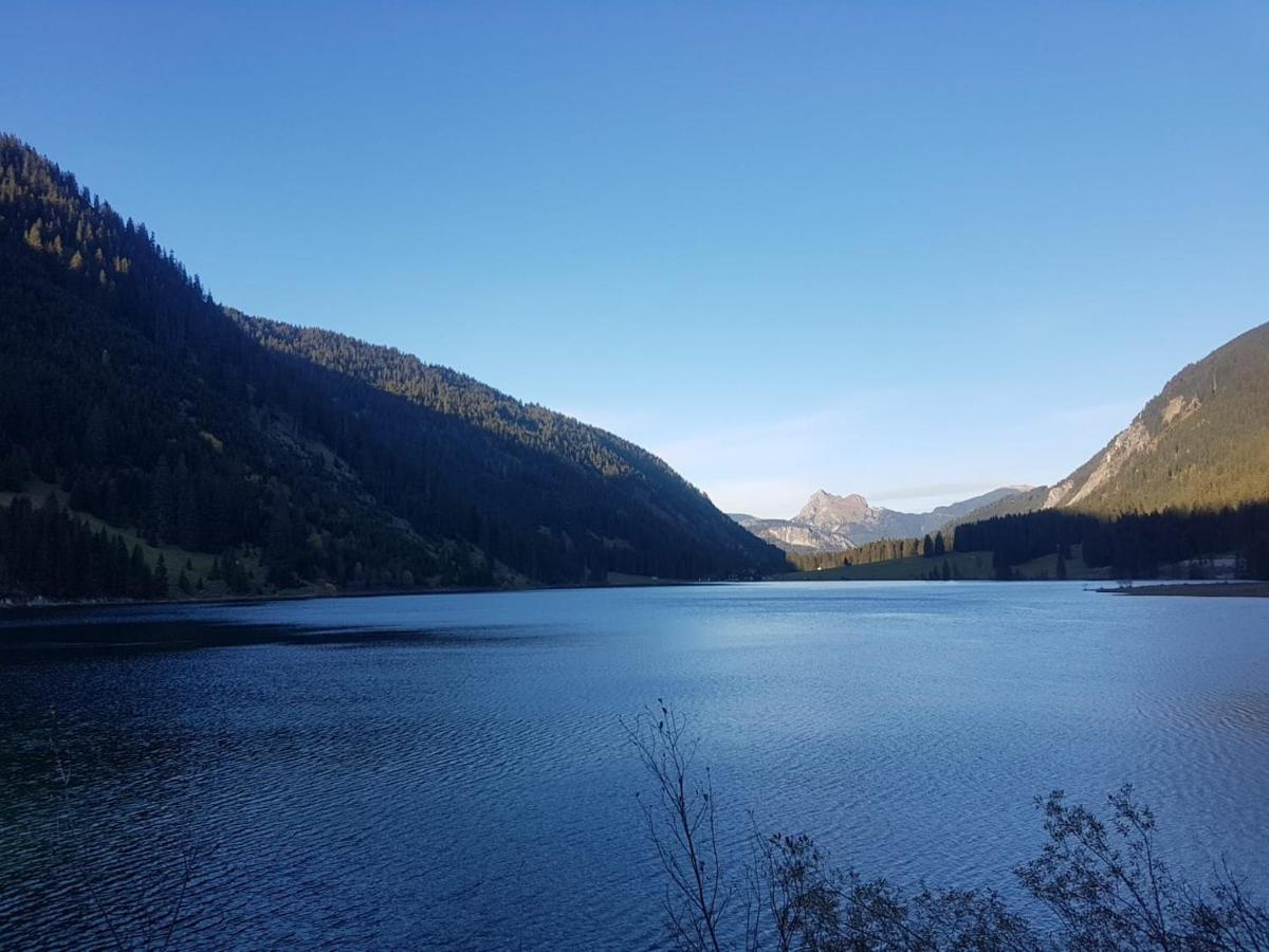 フュッセンNeuschwanstein-Blickアパートメント エクステリア 写真